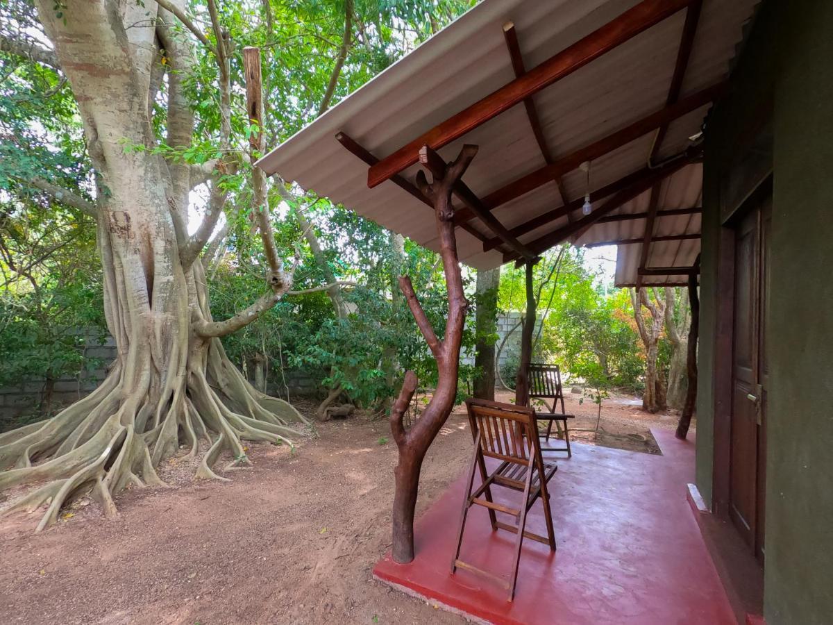 Wilpattu Mookalan Resort Habawewa Exterior photo