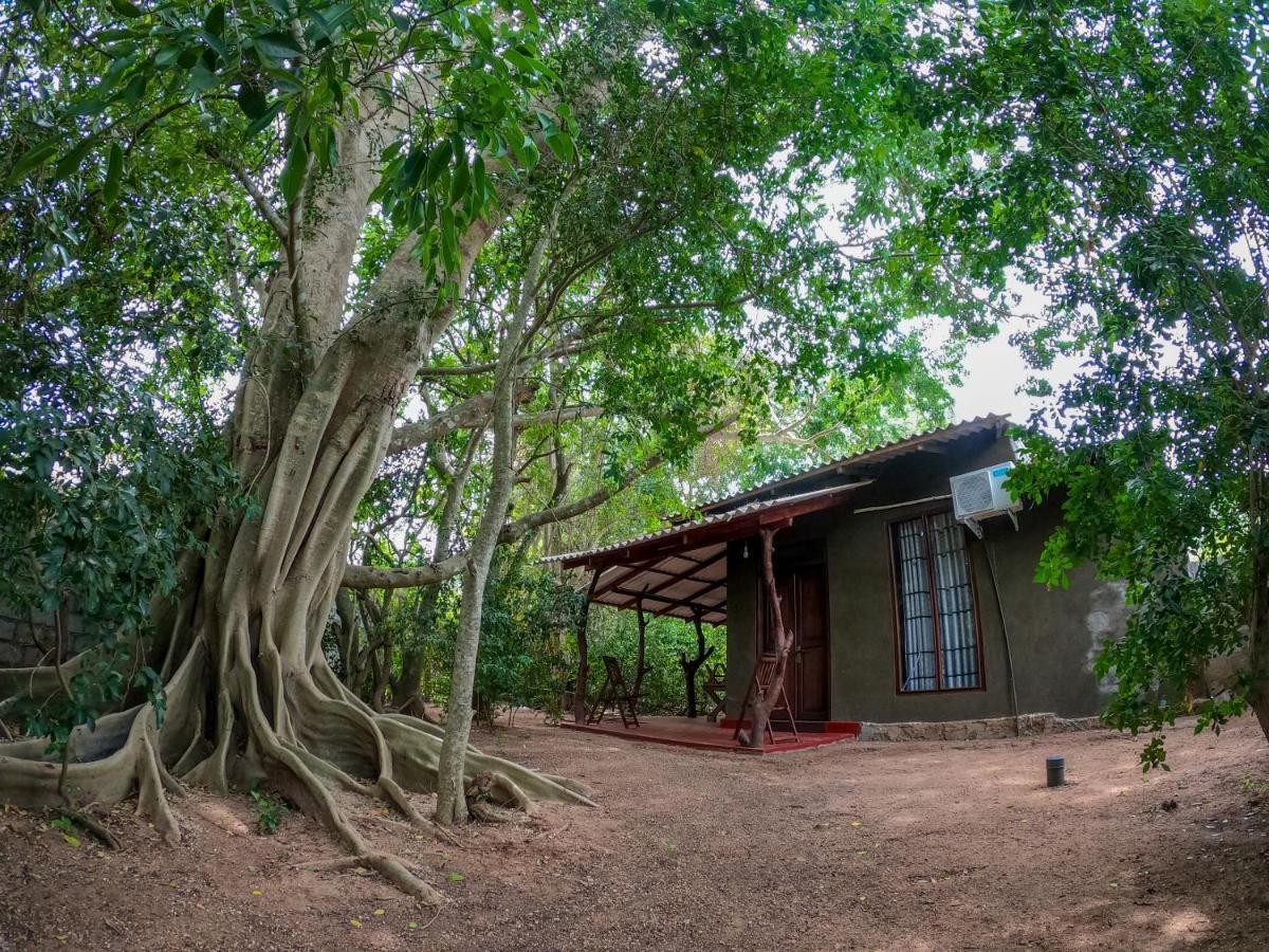 Wilpattu Mookalan Resort Habawewa Exterior photo