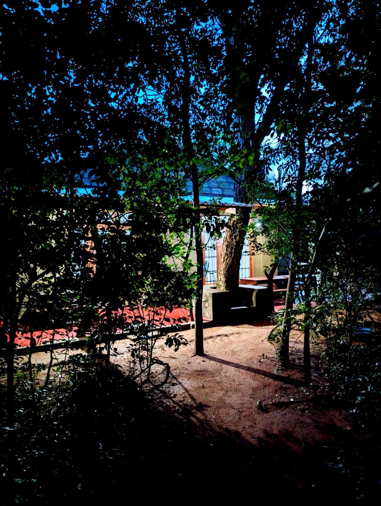 Wilpattu Mookalan Resort Habawewa Exterior photo