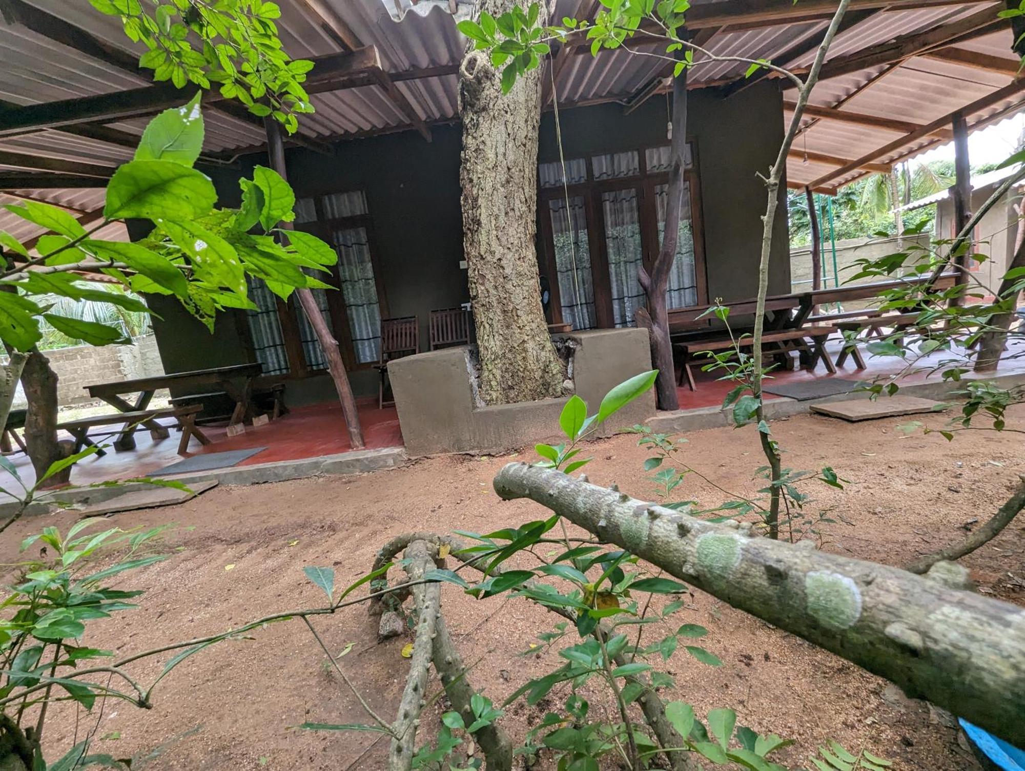 Wilpattu Mookalan Resort Habawewa Exterior photo