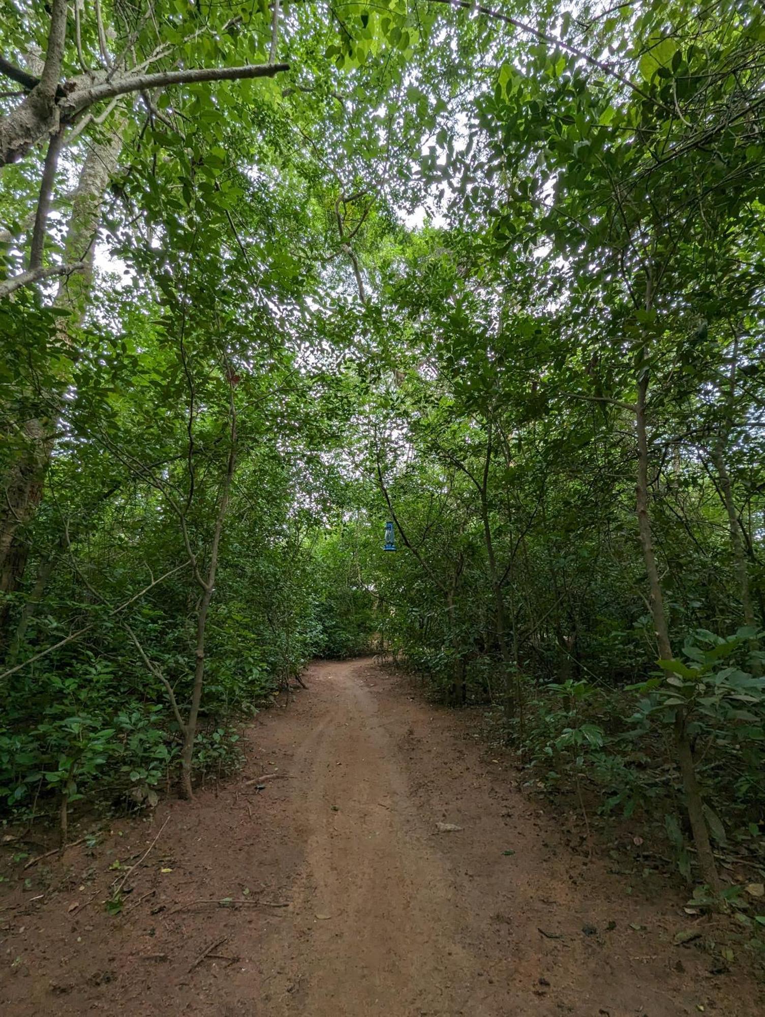 Wilpattu Mookalan Resort Habawewa Exterior photo